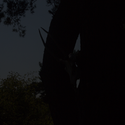 Input RAW - Prompt 1