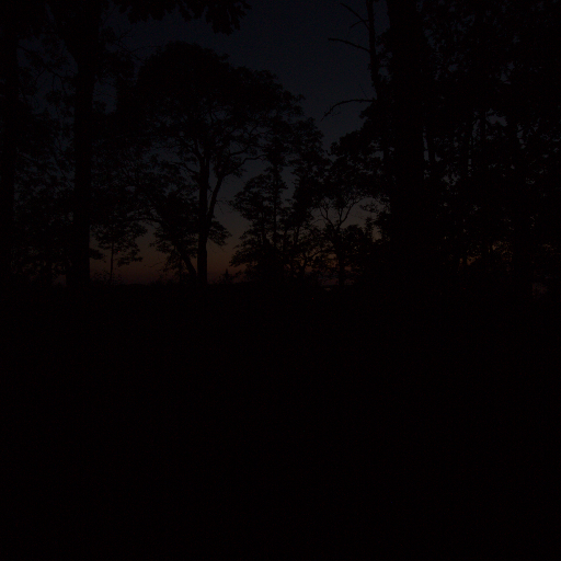 Input RAW - Prompt 12