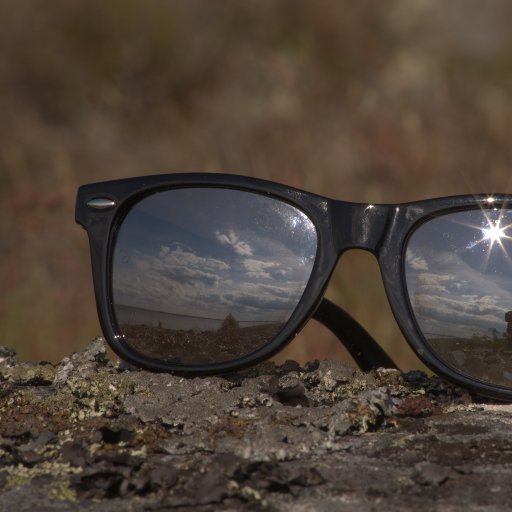 Input RAW - Prompt 13