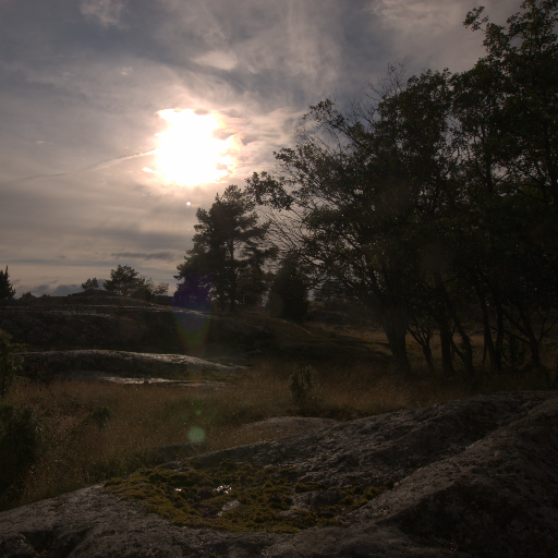 Input RAW - Prompt 15