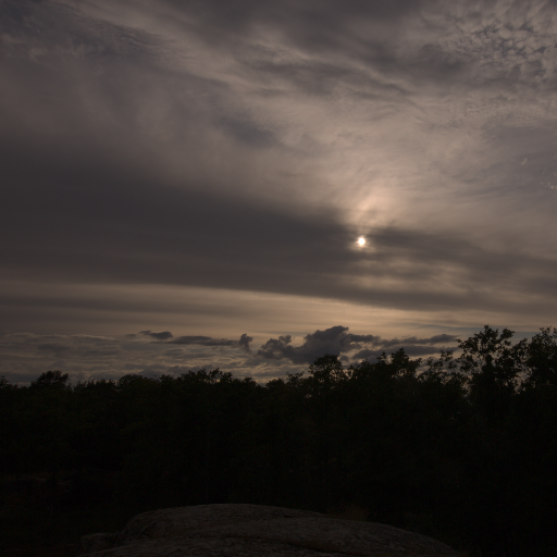 Input RAW - Prompt 19