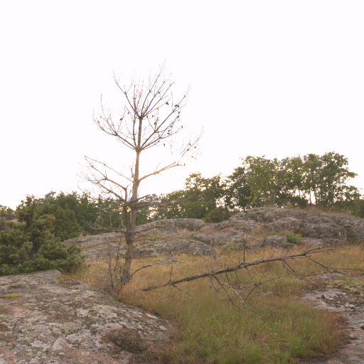 Input RAW - Prompt 21