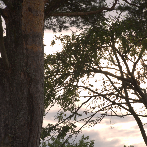 Input RAW - Prompt 23