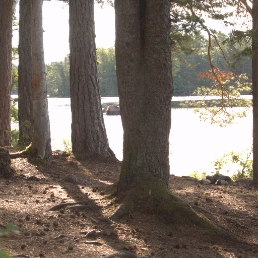 Input RAW - Prompt 24