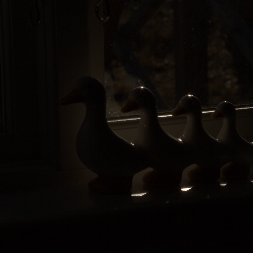 Input RAW - Prompt 25