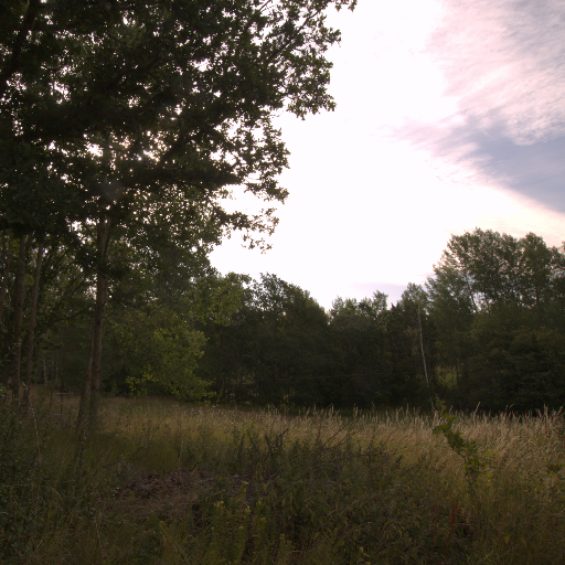 Input RAW - Prompt 28