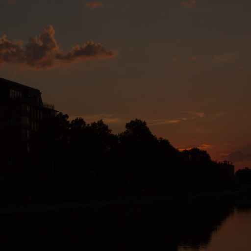 Input RAW - Prompt 40