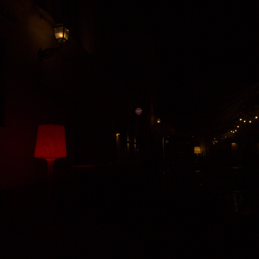 Input RAW - Prompt 56