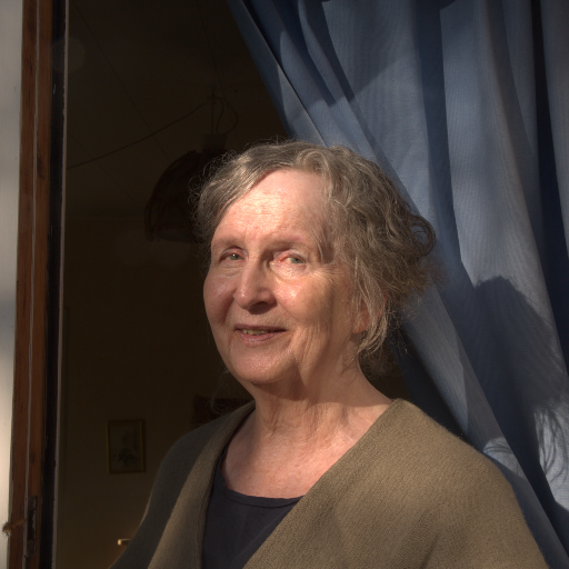 Input RAW - Prompt 68