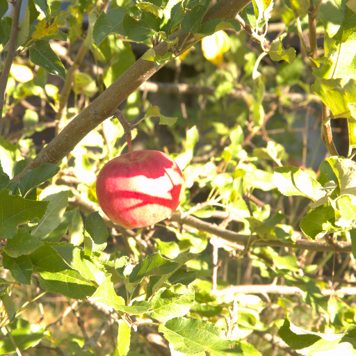 Input RAW - Prompt 70