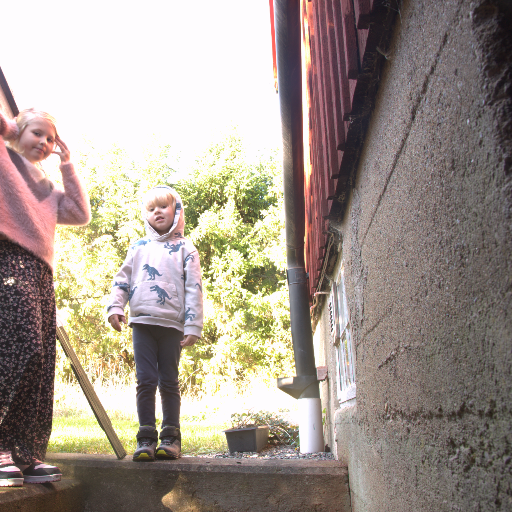 Input RAW - Prompt 74