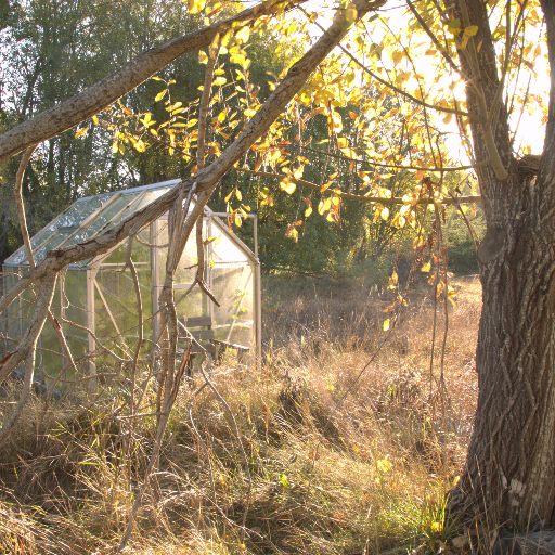 Input RAW - Prompt 76