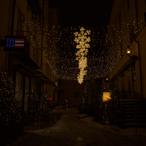 Input RAW - Prompt 84