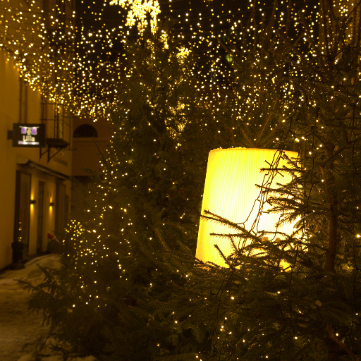 Input RAW - Prompt 85