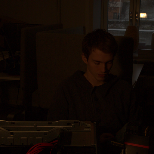 Input RAW - Prompt 91