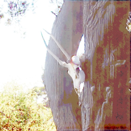 Linear Encoding - Prompt 1