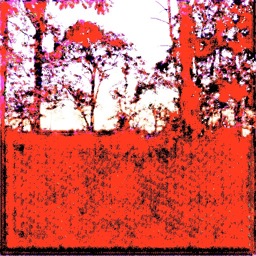 Linear Encoding - Prompt 12