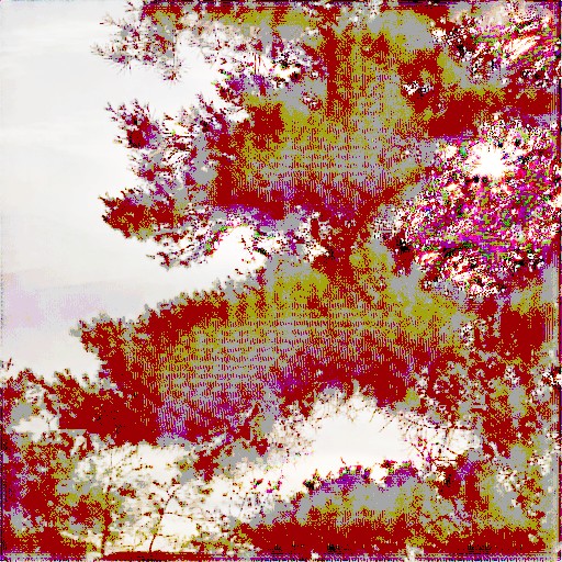 Linear Encoding - Prompt 16