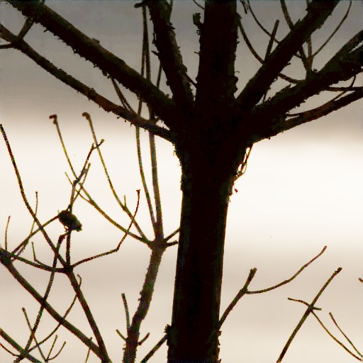 Linear Encoding - Prompt 22