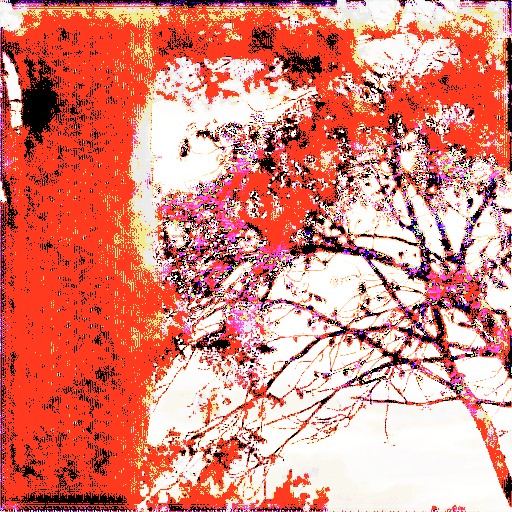 Linear Encoding - Prompt 23