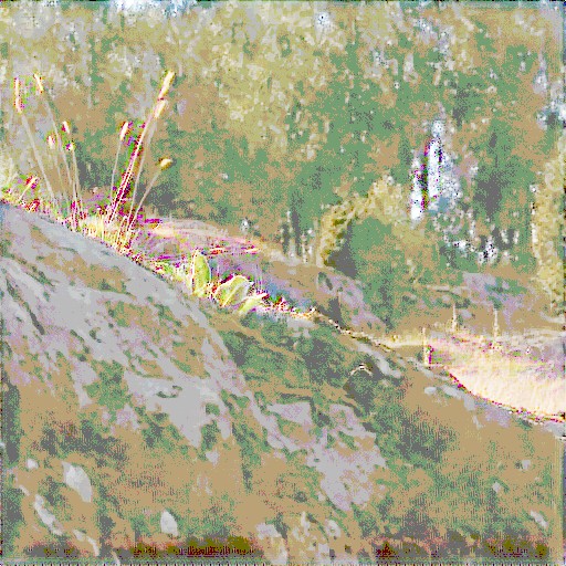 Linear Encoding - Prompt 6