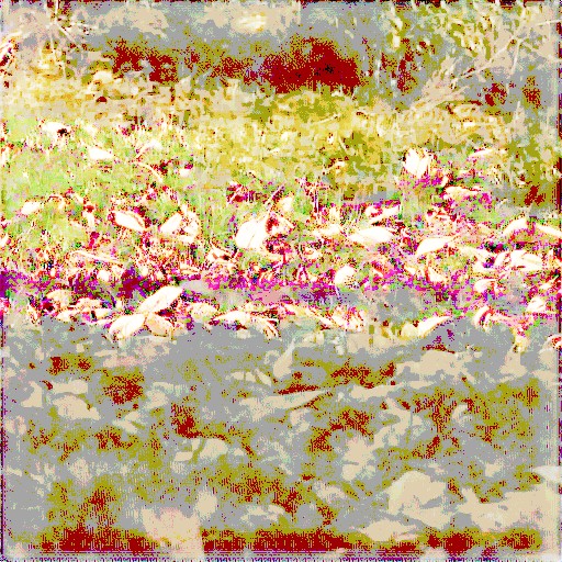 Linear Encoding - Prompt 69