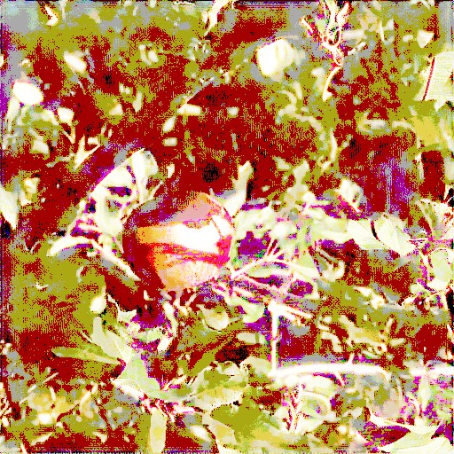 Linear Encoding - Prompt 70