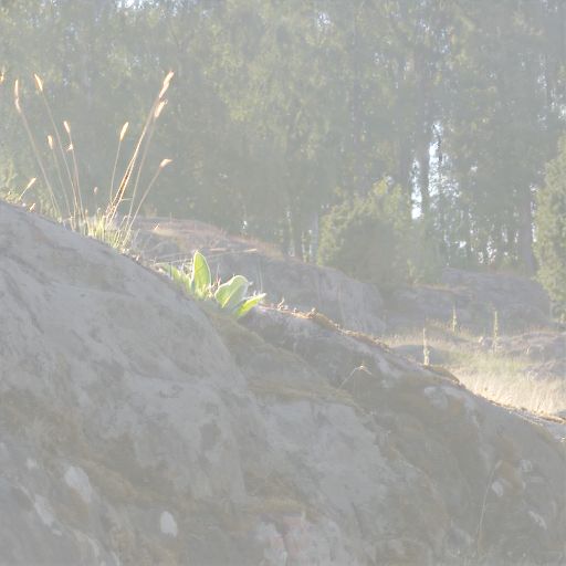 Log Encoding - Prompt 6