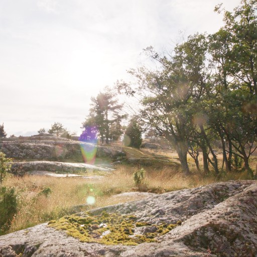 PQ Encoding - Prompt 15