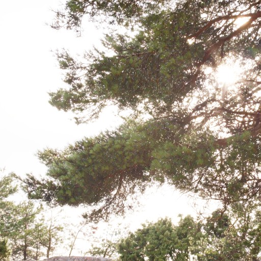 PQ Encoding - Prompt 16