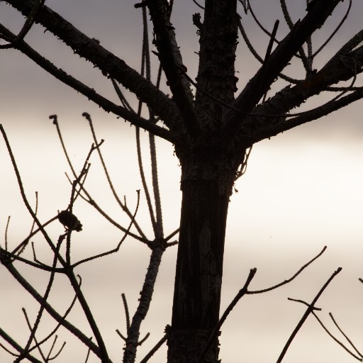 PQ Encoding - Prompt 22