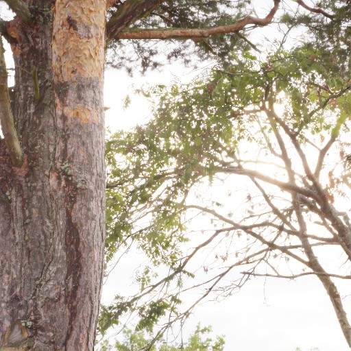 PQ Encoding - Prompt 23