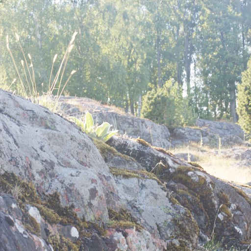 PQ Encoding - Prompt 6