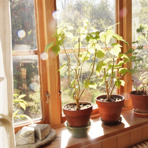 PQ Encoding - Prompt 65