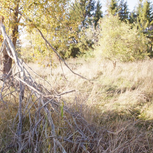 PQ Encoding - Prompt 77