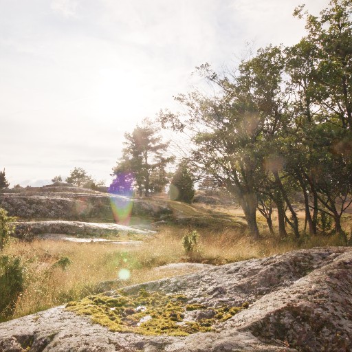 PU21 Encoding (Default) - Prompt 15