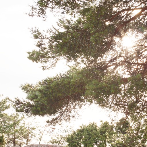 PU21 Encoding (Default) - Prompt 16