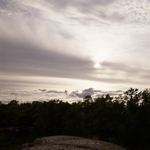 PU21 Encoding (Default) - Prompt 19