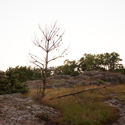 PU21 Encoding (Default) - Prompt 21