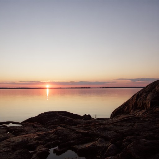 PU21 Encoding (Default) - Prompt 8