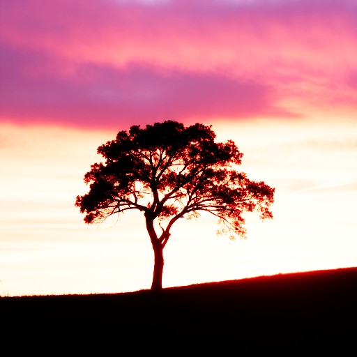 PQ Encoding - Prompt 84