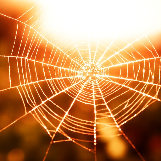 PU21 Encoding (Default) - Prompt 28