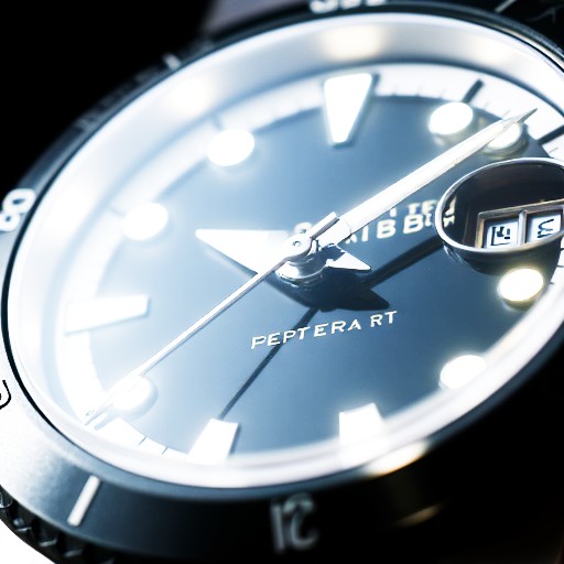 PU21 Encoding (Default) - Prompt 61