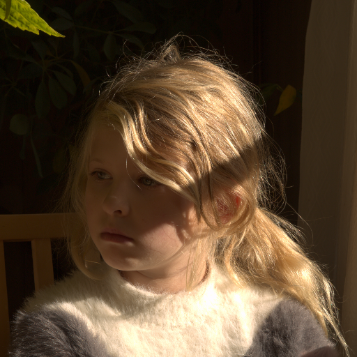 Input RAW - Prompt 13