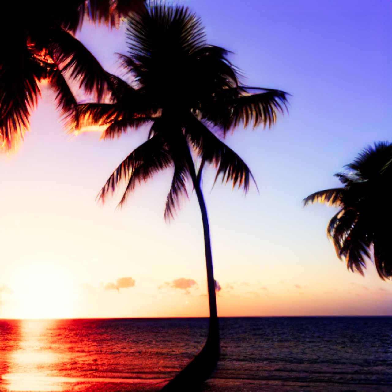 Ours (SD-1.5) - Prompt 1