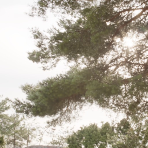 Bracket Diffusion - Prompt 16