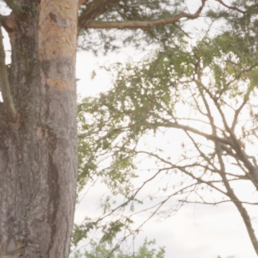 Bracket Diffusion - Prompt 23