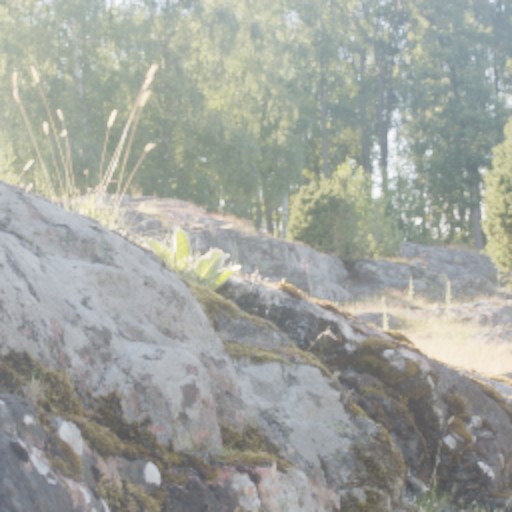 Bracket Diffusion - Prompt 6