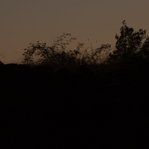 Input RAW - Prompt 10