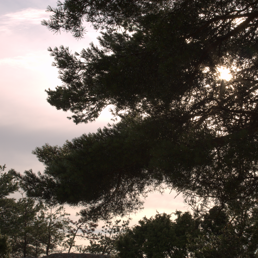 Input RAW - Prompt 16